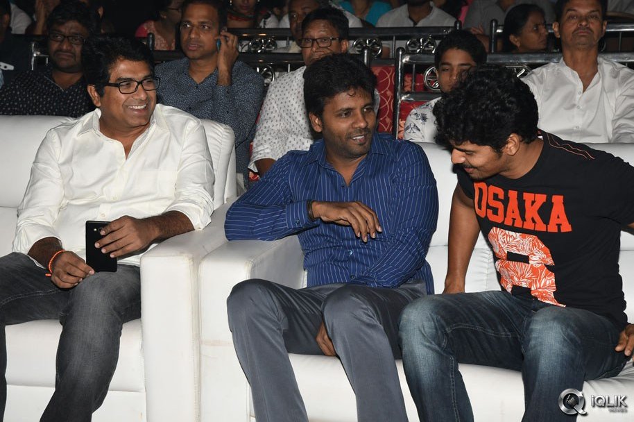 Pelli-Choopulu-Movie-Audio-Launch